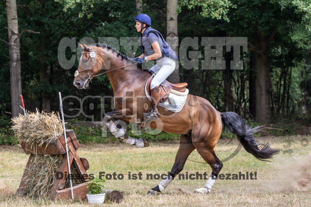 Late-Entry Vielseitigkeit Hamminkeln/Wesel (01.+02.08.2020)