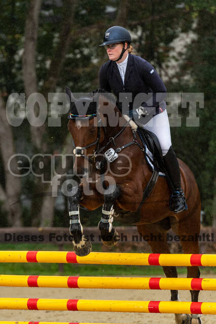 Vielseitigkeit RSV Wesel Obrighoven (26.+27.09.2020)