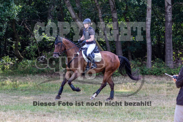 Late-Entry Vielseitigkeit Hamminkeln/Wesel (01.+02.08.2020)