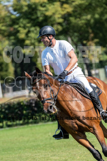 Kronenberg - De Peelbergen (August 2020)