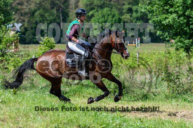 Westerstede Horse Trials (10.-13.06.2021)