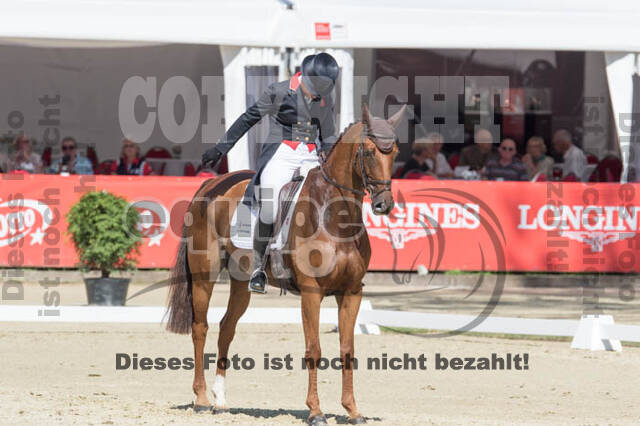 FEI European Championship Eventing 2017