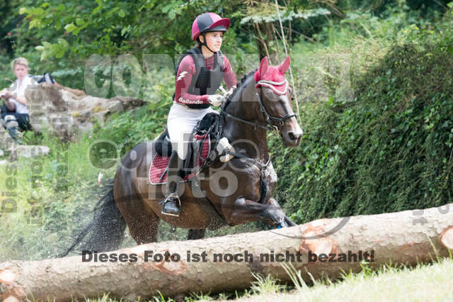 RFV Bad Honnef