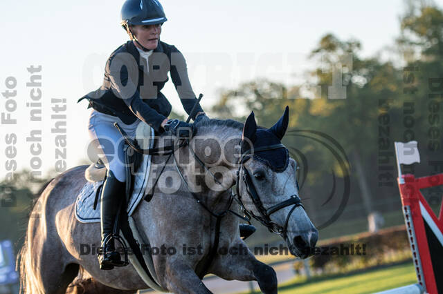 De Peelbergen (August 2020)