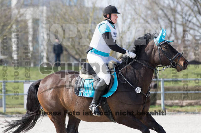 Eventing Langenfeld 2018