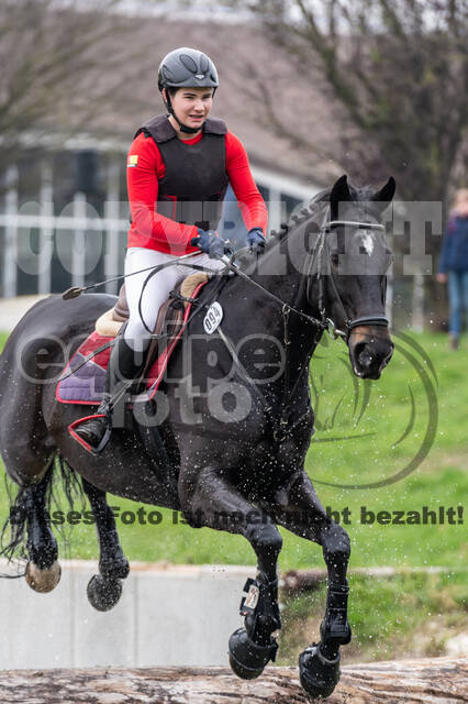 Goldene Schärpe 2020 - Pferde