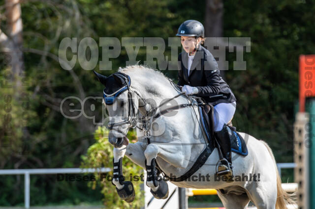 RFV Dinslaken-Hiesfeld (Herbstturnier)