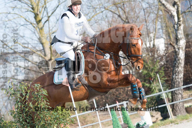 Eventing Langenfeld