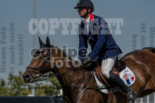 Kronenberg - De Peelbergen (August 2020)