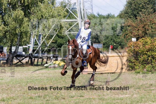 Vielseitigkeitsturnier RSV St. Hubertus Wesel Obrighoven