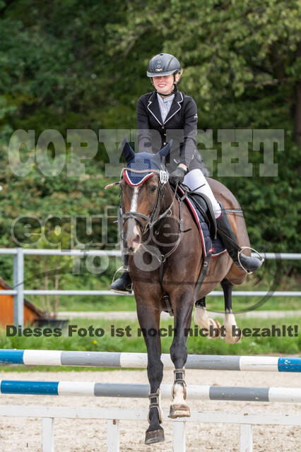 Late-Entry-Vielseitigkeit Langenfeld (06.+07.07.2020)