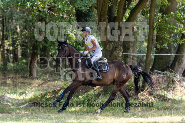 Late-Entry Vielseitigkeit Hamminkeln/Wesel (01.+02.08.2020)