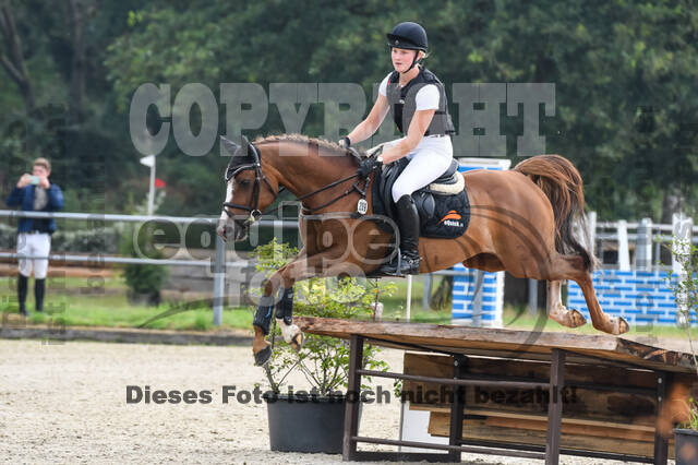 Late-Entry-Vielseitigkeit Langenfeld (11.+13./14.06.2020)