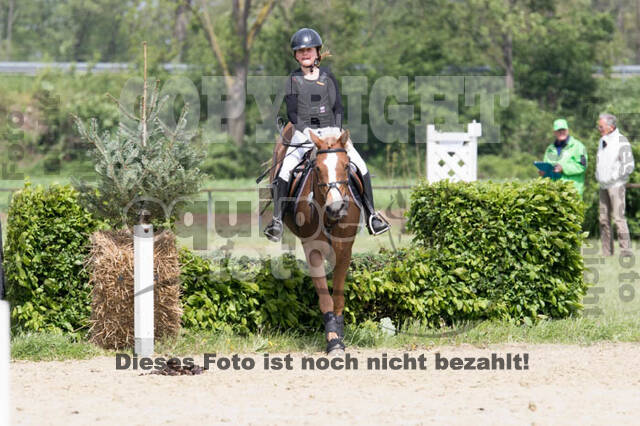 Vielseitigkeitsturnier RuFV Rheurdt
