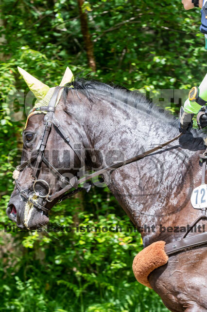 Westerstede Horse Trials 2021