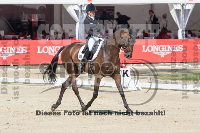 FEI European Championship Eventing 2017