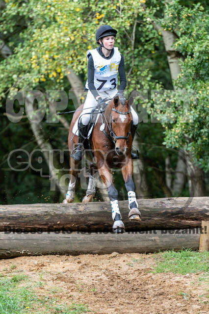 Vielseitigkeit RSV Wesel Obrighoven (26.+27.09.2020)