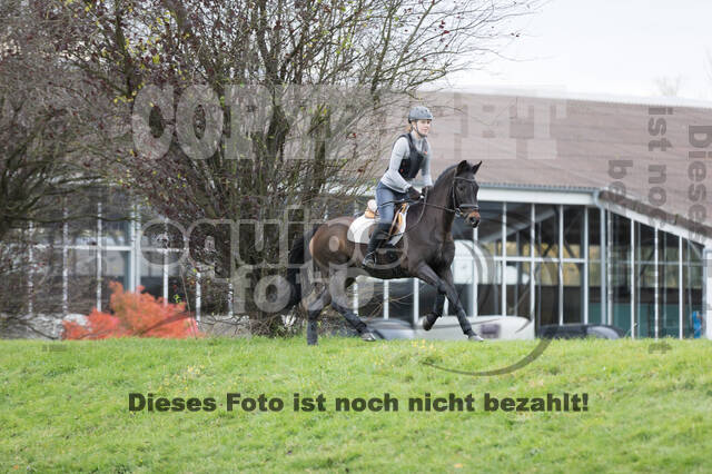 IGV Lehrgang der Sieger der Cups mit Frank Ostholt