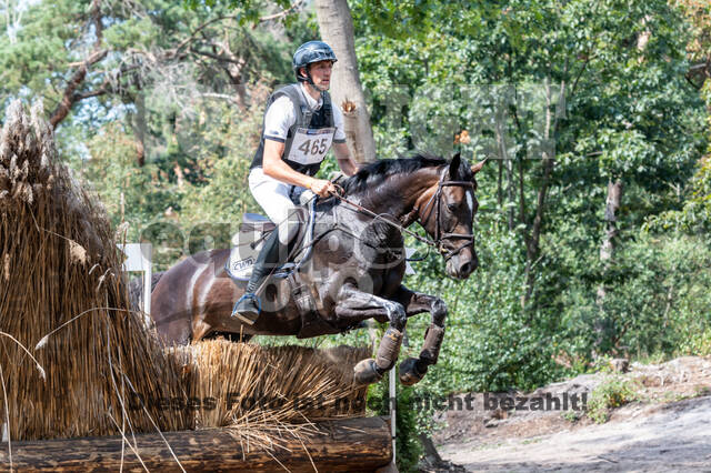 De Peelbergen (August 2020)