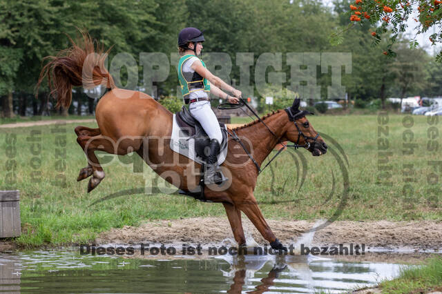 Late-Entry-Vielseitigkeit Gahlen (18.07.2020)