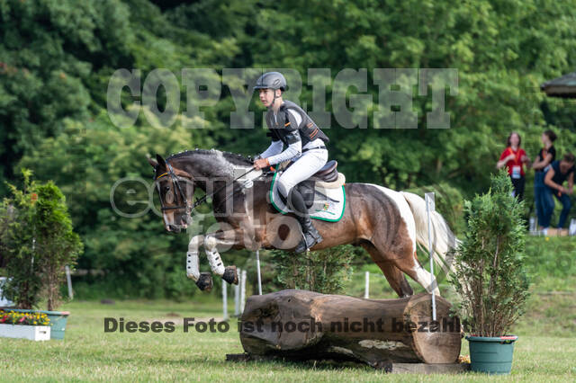 Goldene Schärpe 2021 - Ponys