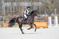 Eventing Langenfeld 2018