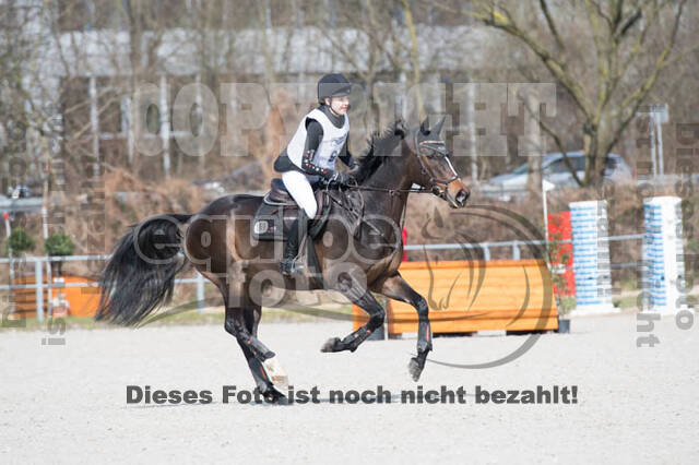 Eventing Langenfeld 2018