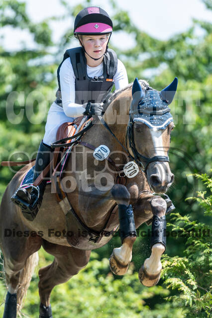 Goldene Schärpe 2021 - Ponys