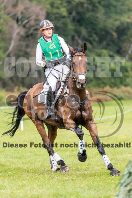 Deutsche Meisterschaft Vielseitigkeit (Luhmühlen)