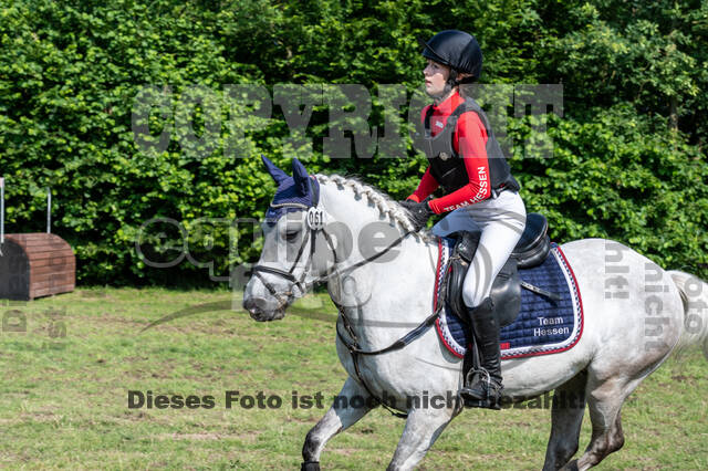 Goldene Schärpe 2021 - Ponys