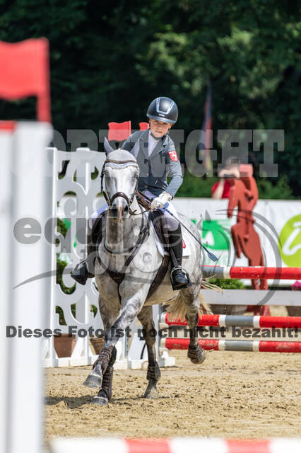 Goldene Schärpe 2021 - Ponys