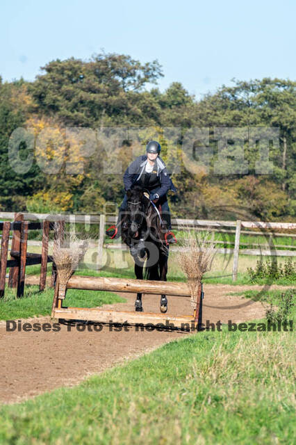 Vielseitigkeitslehrgang mit Jürg Kurbel (9.+10.11.2019)
