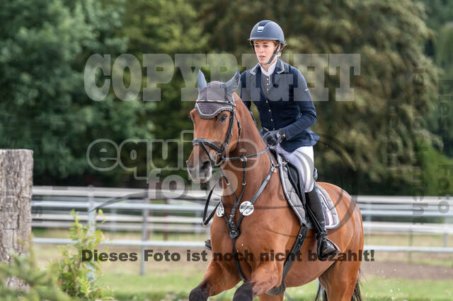 Late-Entry-Vielseitigkeit Langenfeld (06.+07.07.2020)