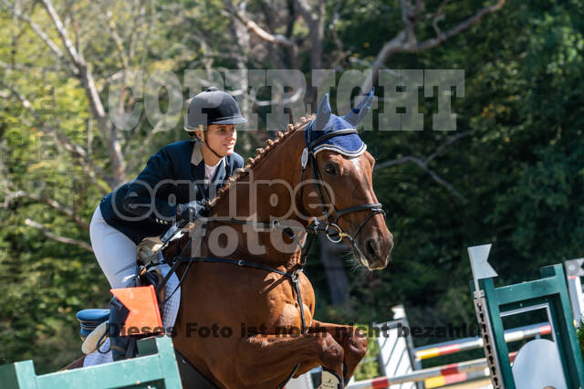 RFV Dinslaken-Hiesfeld (Herbstturnier)