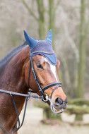 Geländetraining RSV St. Hubertus Wesel Obrighoven (10.+11.03.2018)