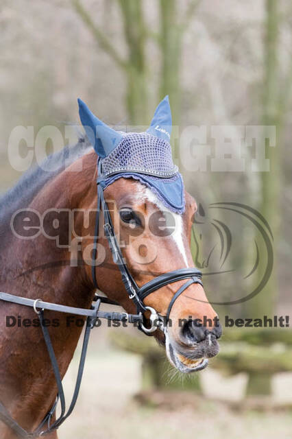 Geländetraining RSV St. Hubertus Wesel Obrighoven (10.+11.03.2018)