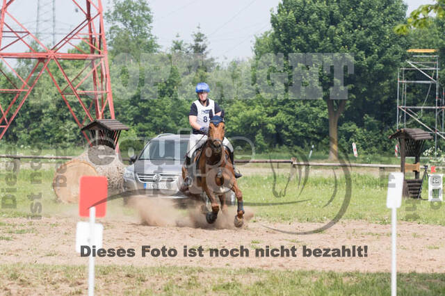 Vielseitigkeitsturnier ZRFV von Lützow Hamminkeln