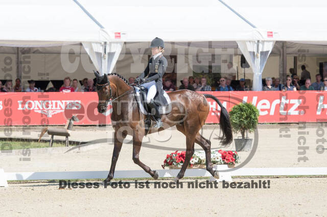 FEI European Championship Eventing 2017