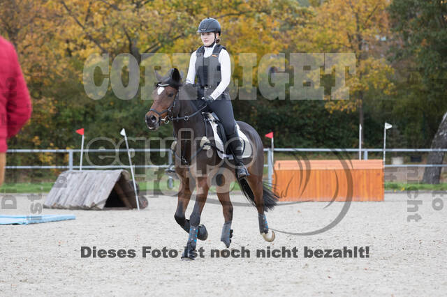 IGV Lehrgang der Sieger der Cups mit Frank Ostholt