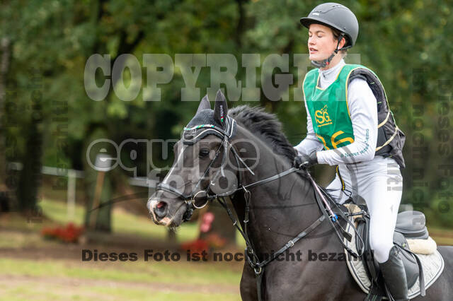 Vielseitigkeit RSV Wesel Obrighoven (26.+27.09.2020)