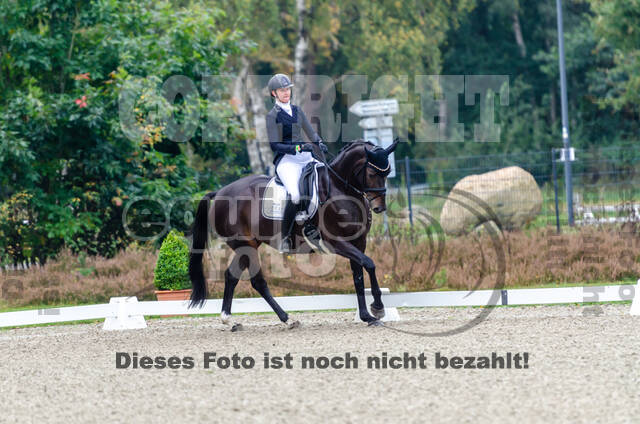 Deutsche Meisterschaft Vielseitigkeit (Luhmühlen)