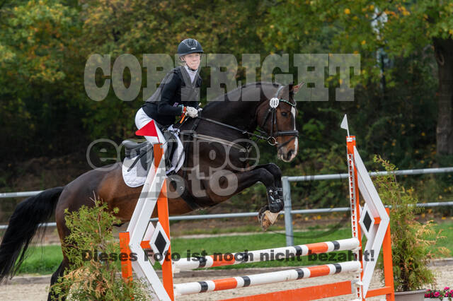 Goldene Schärpe 2020 - Pferde