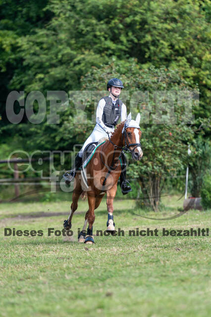Goldene Schärpe 2021 - Ponys
