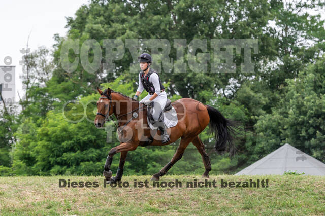 Late-Entry-Vielseitigkeit Langenfeld (11.+13./14.06.2020)