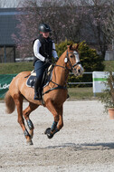 Trainingsturnier Langenfeld (12.+13.03.2022)