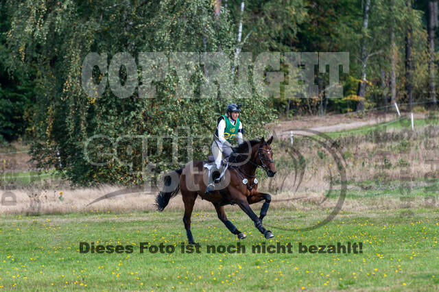 Deutsche Meisterschaft Vielseitigkeit (Luhmühlen)