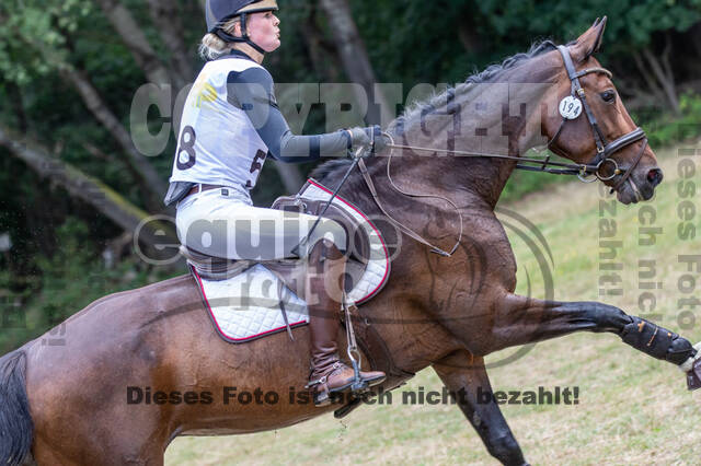 Late-Entry Vielseitigkeit Hamminkeln/Wesel (01.+02.08.2020)