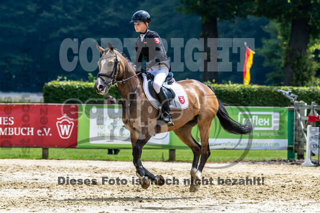 Goldene Schärpe 2021 - Ponys