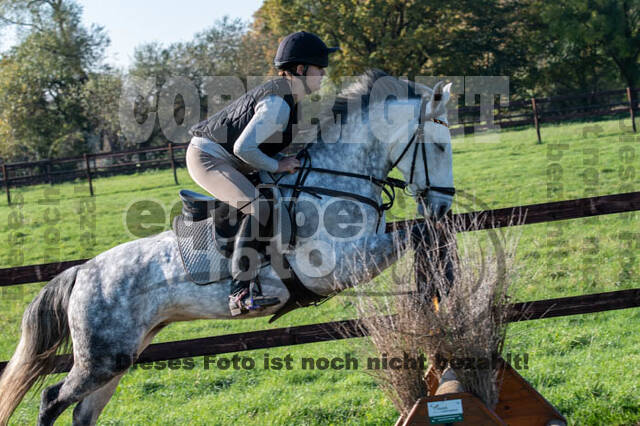 Vielseitigkeitslehrgang mit Jürg Kurbel (9.+10.11.2019)