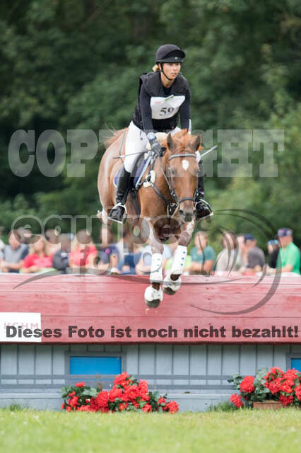 FEI European Championship Eventing 2017